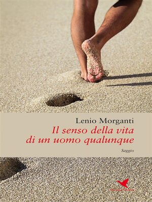 cover image of Il senso della vita di un uomo qualunque